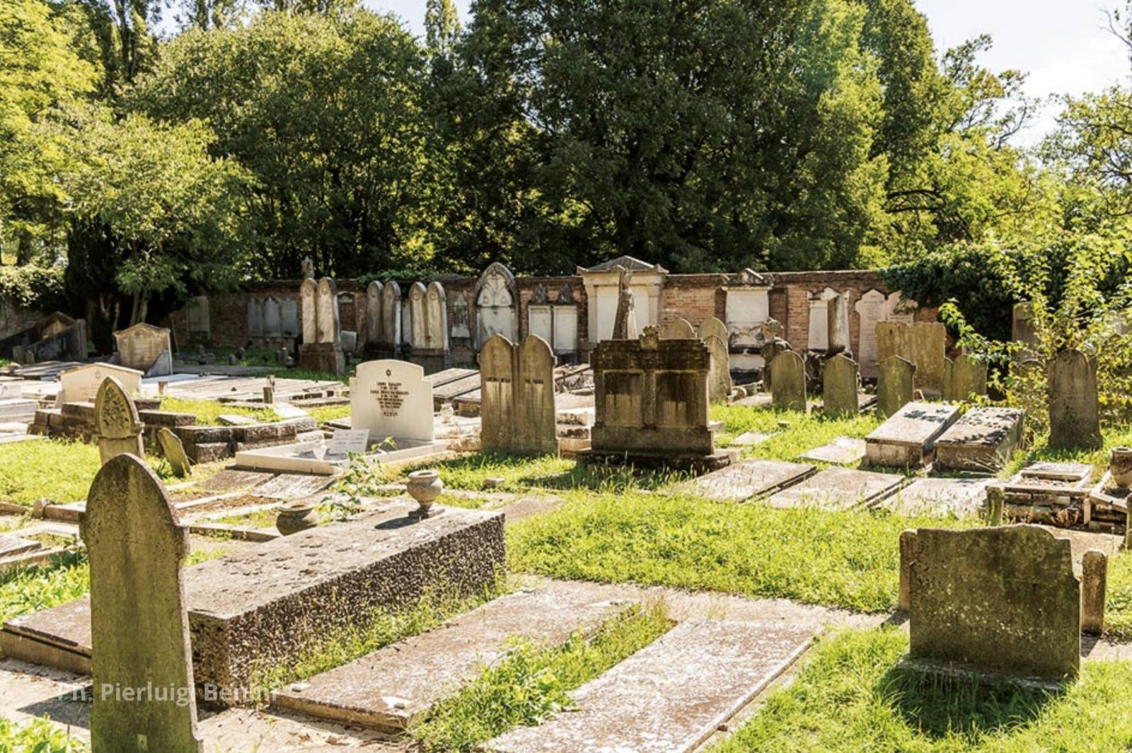 jewish-cemetery-inferrara